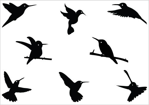 Hummingbird silhouette Vector Graphics - Silhouette Clip 