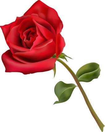 Clip Art Roses With Thorns And Dead Vines | Clipart library - Free 