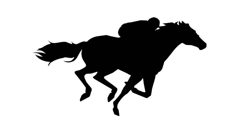 Running Horse Herd Silhouette | Clipart library - Free Clipart Images