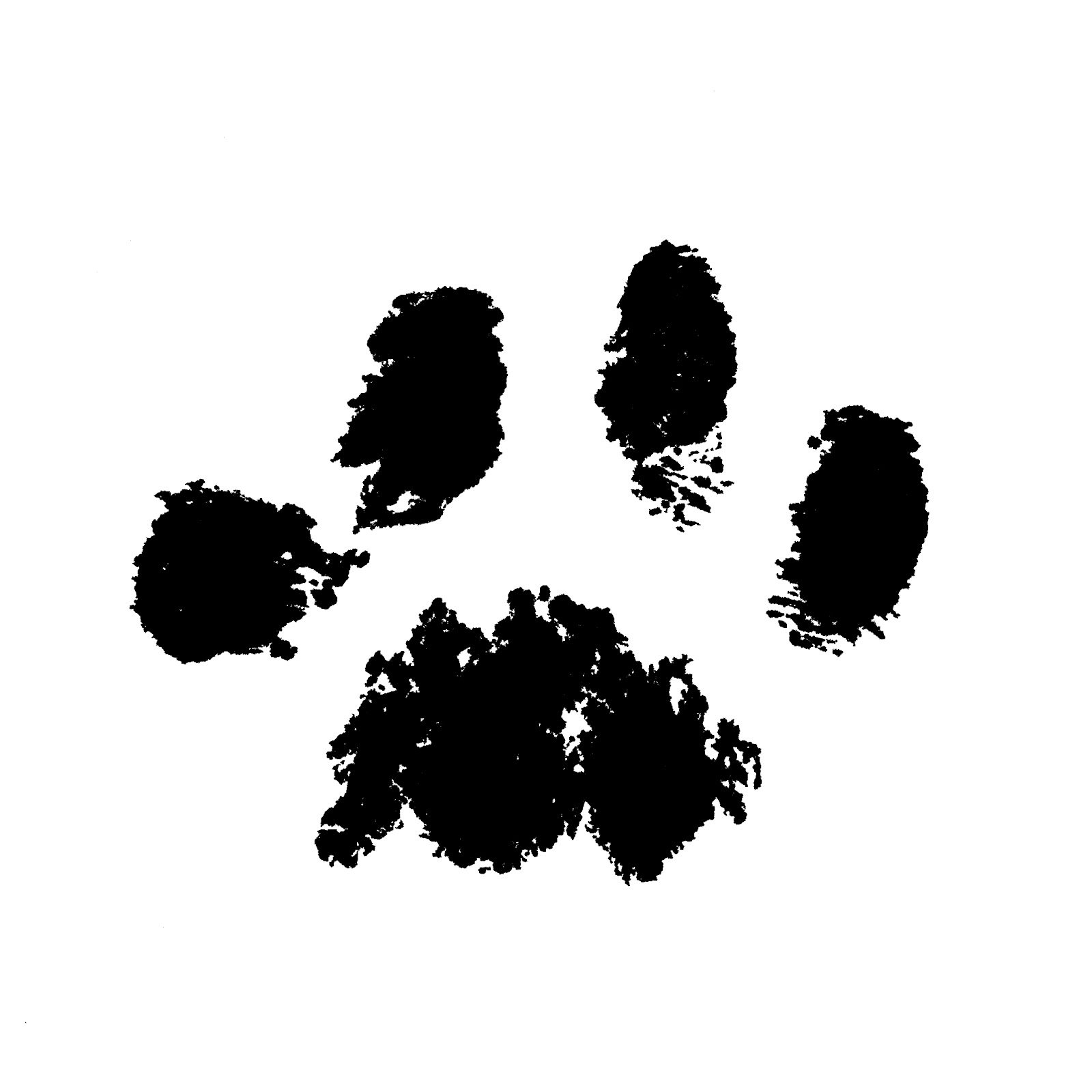 renhed Den anden dag eksistens Free Cat Paw Print, Download Free Cat Paw Print png images, Free ClipArts  on Clipart Library