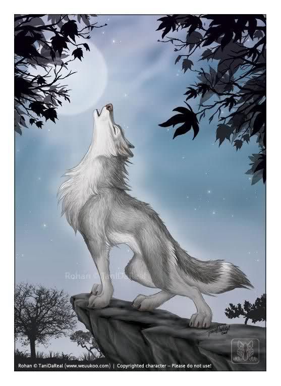 drawings of wolves howling - Clip Art Library