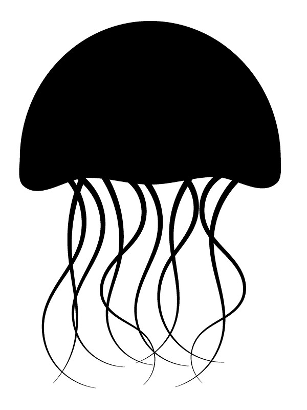 Free Jellyfish Outline, Download Free Jellyfish Outline png images