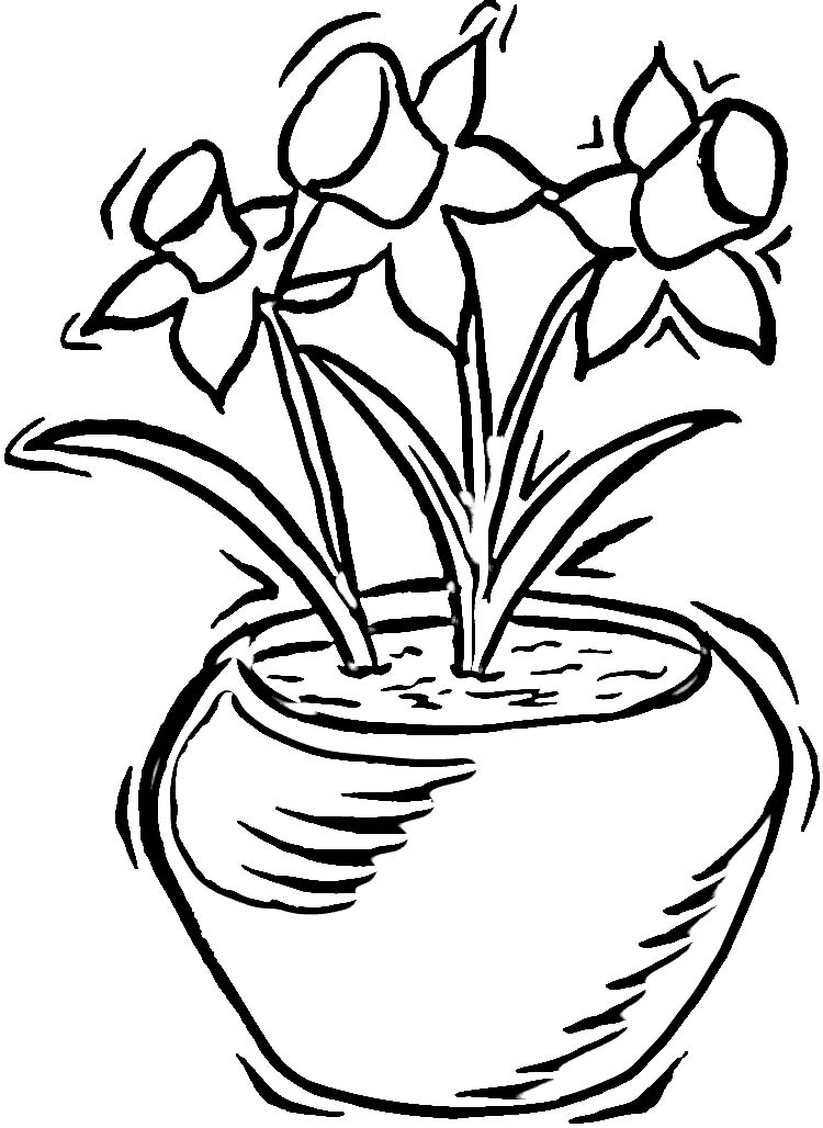 daffodils to colour in Colouring Pages (page 2)