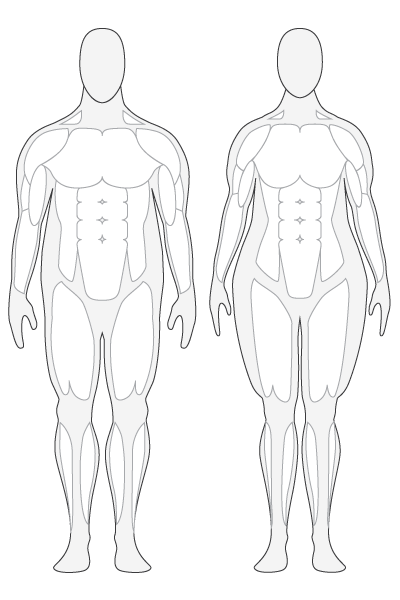 Outline Of Female Body - Clipart library