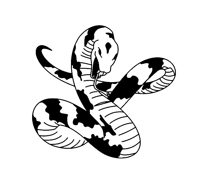 black and white snake tattoo design img30 �Other black and grey 