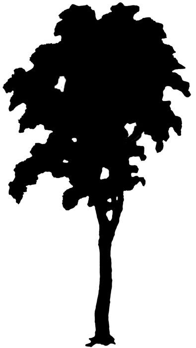 tree-silhouette-clipart-18.jpg