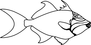 fish-clipart-black-and-white- 