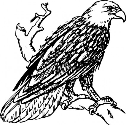 Bald eagle clip art Free vector for free download (about 8 files).