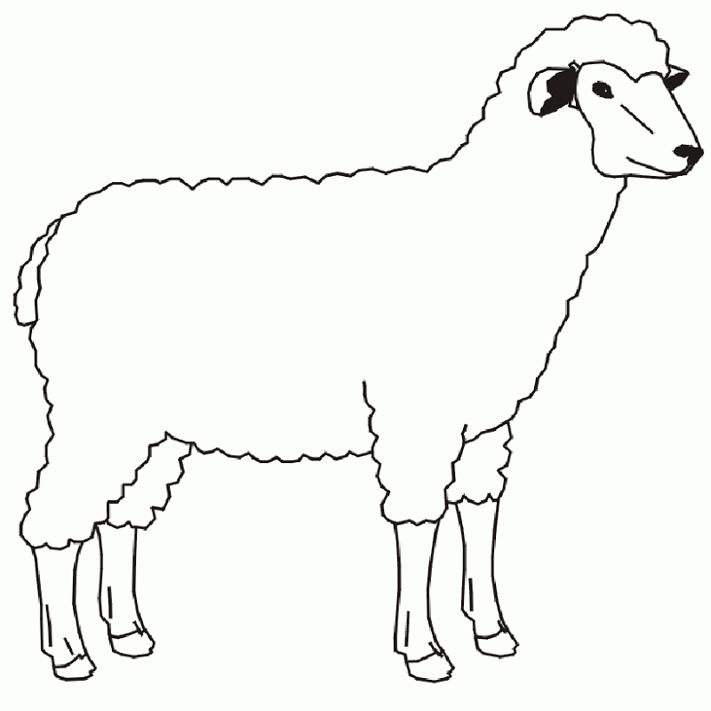 Free Farm Animal Coloring Pages |