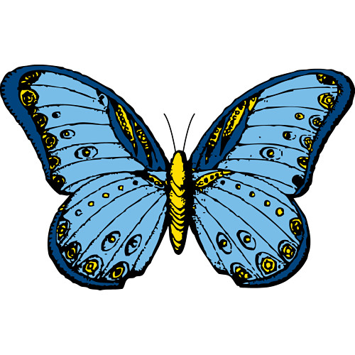free clip art animated butterflies - photo #47