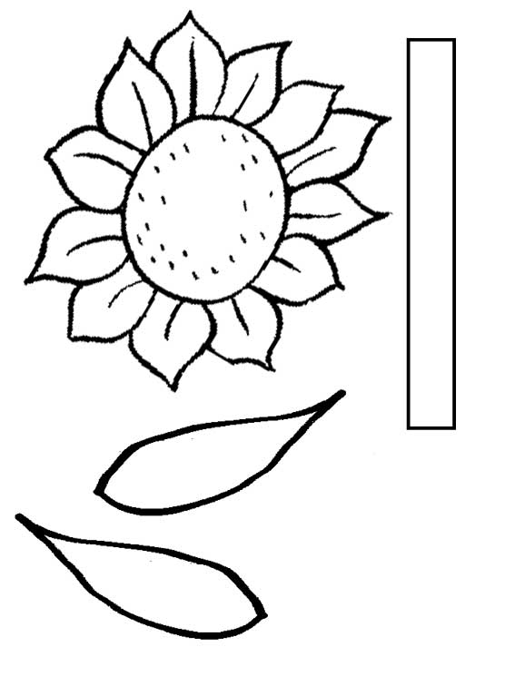 Printable Sunflower Pattern Drawing