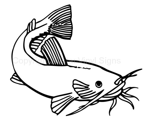 Free Catfish Drawing, Download Free Catfish Drawing png images, Free