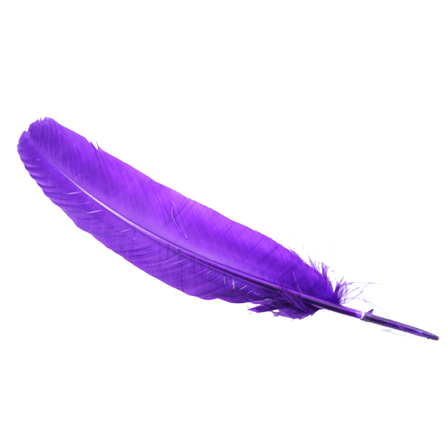 Feather 3 by Moonglowlilly on Clipart library