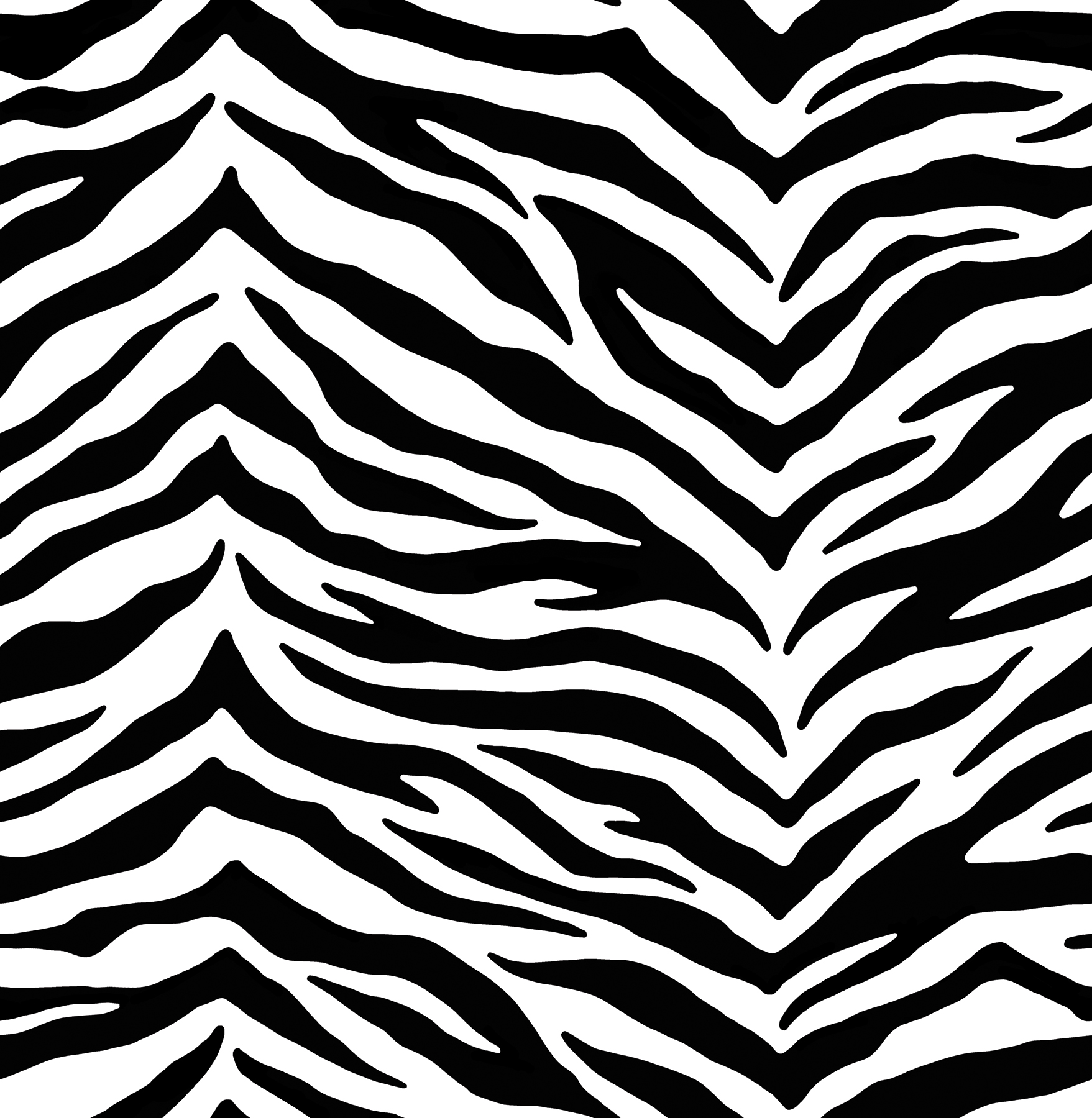 Black And White Zebra Print Wallpaper - Widescreen HD Wallpapers