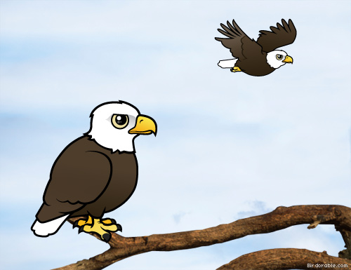 Eagles  Categories - Birdorable Blog