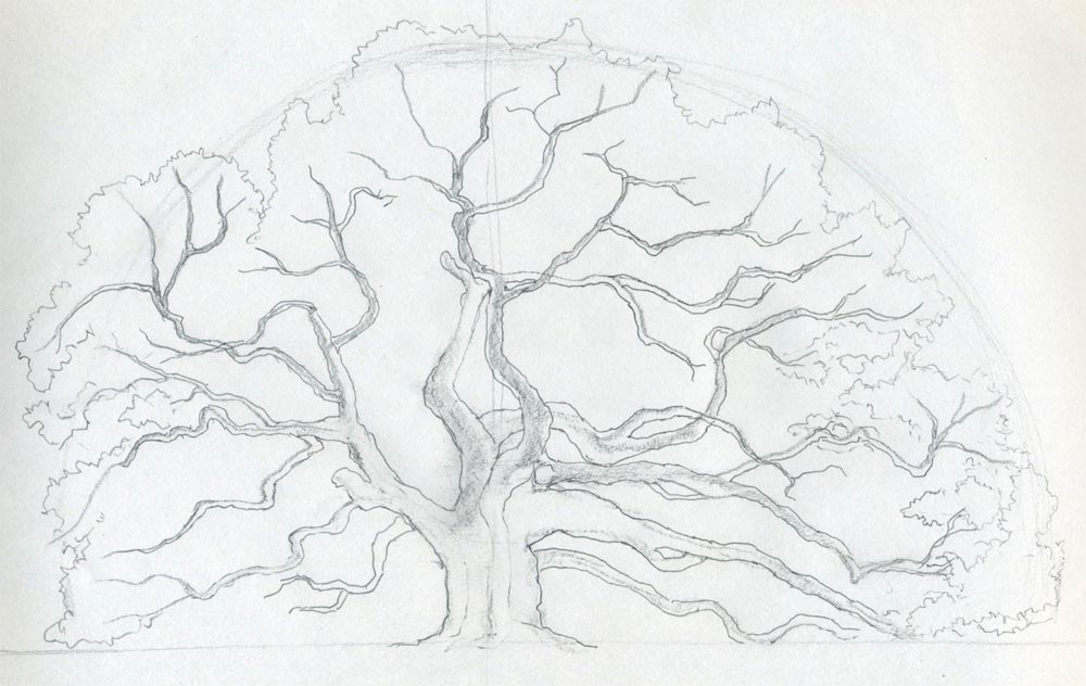 Free Tree Drawing Outline, Download Free Tree Drawing Outline png