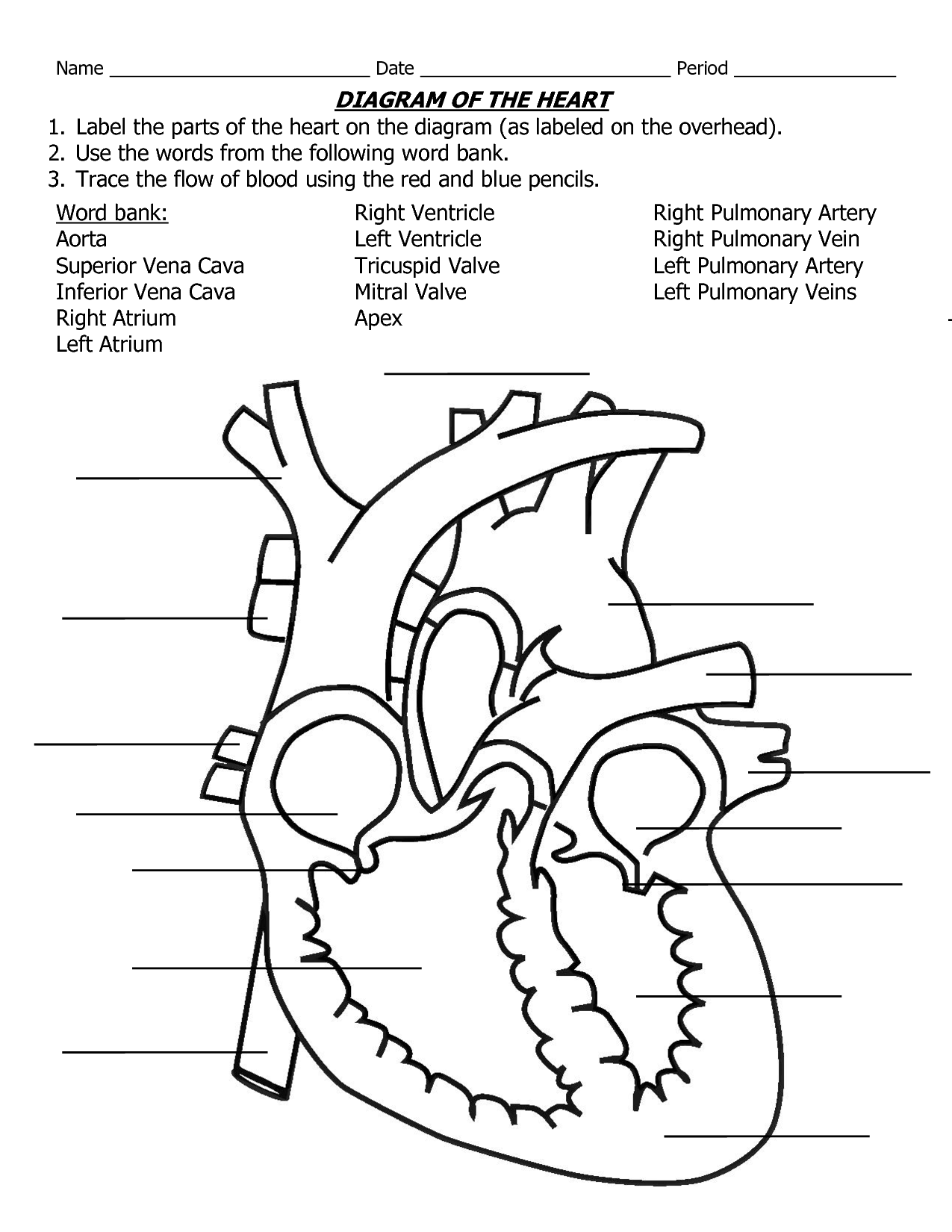 Free coloring pages of heart with valves - Clip Art Library