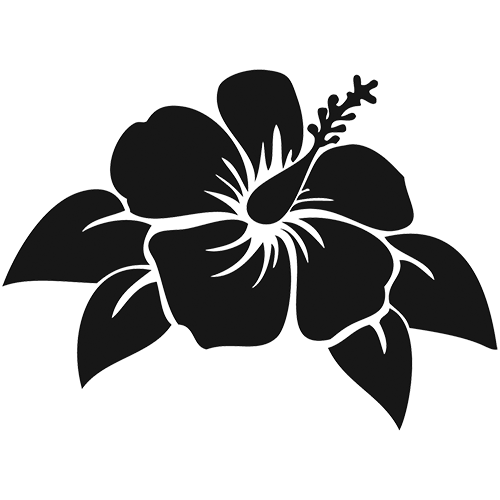 Hibiscus Clip Art Black And White Lowrider Car Pictures