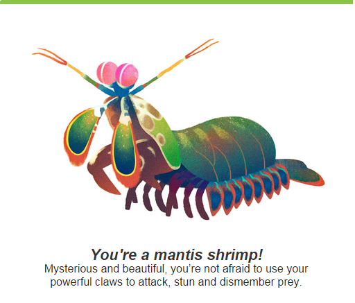 Mantis shrimp to honey badger: Google Doodle reveals your animal 