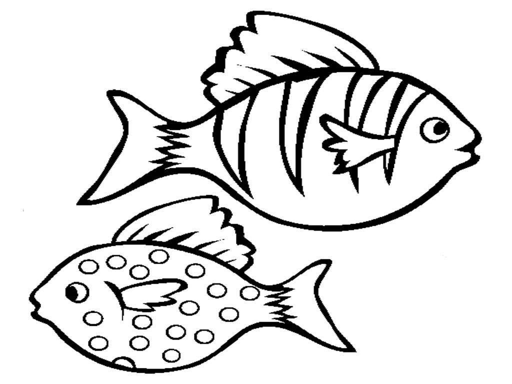 Free Fish Outlines For Children Download Free Clip Art