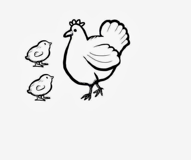 Picture Of Hen In Drawing - Clipart library