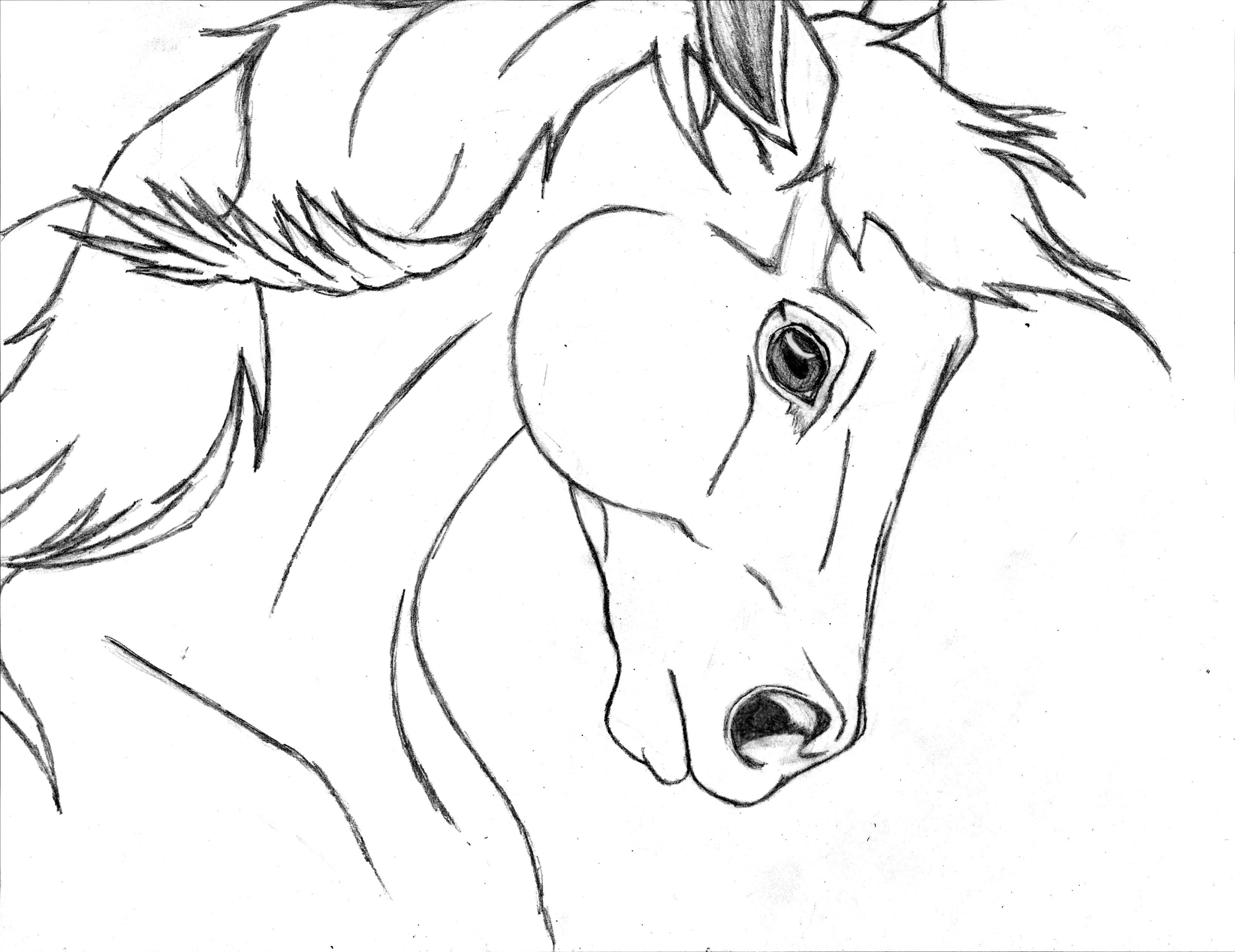 easy pencil drawings of horses