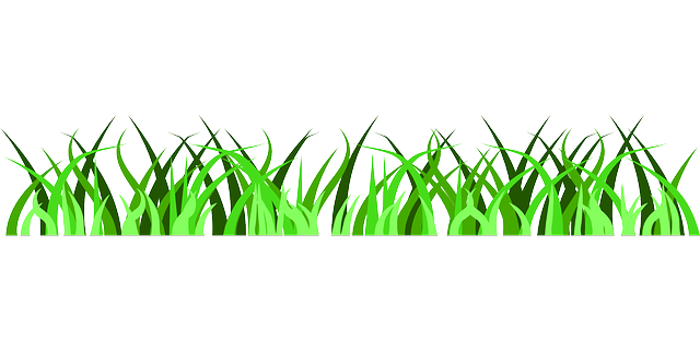 Free Rumput Png, Download Free Rumput Png png images, Free ClipArts on