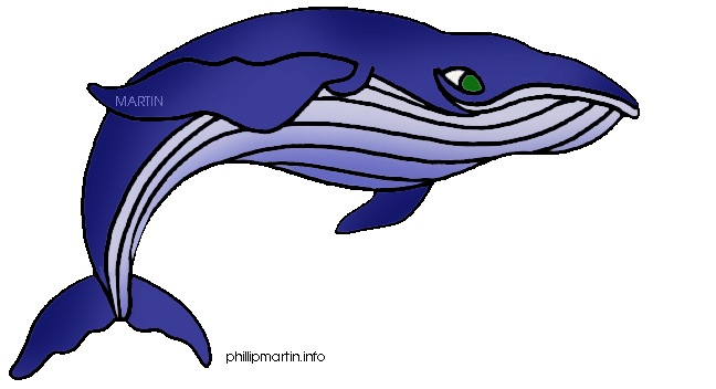 free animated whale clipart - photo #44