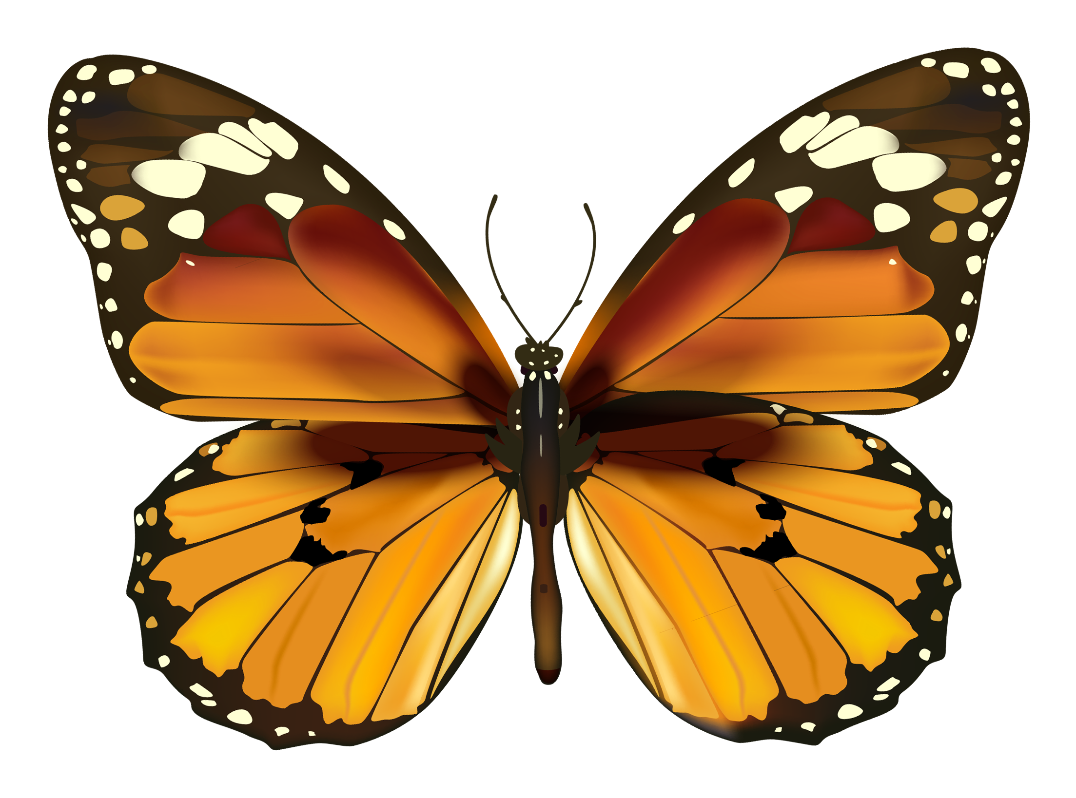 Yellow Butterfly PNG Clipart