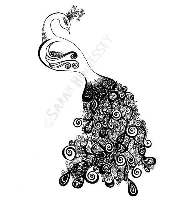 Popular items for peacock drawing 