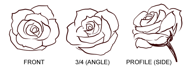 Free Simple Rose Drawings Download Free Clip Art Free Clip Art On Clipart Library