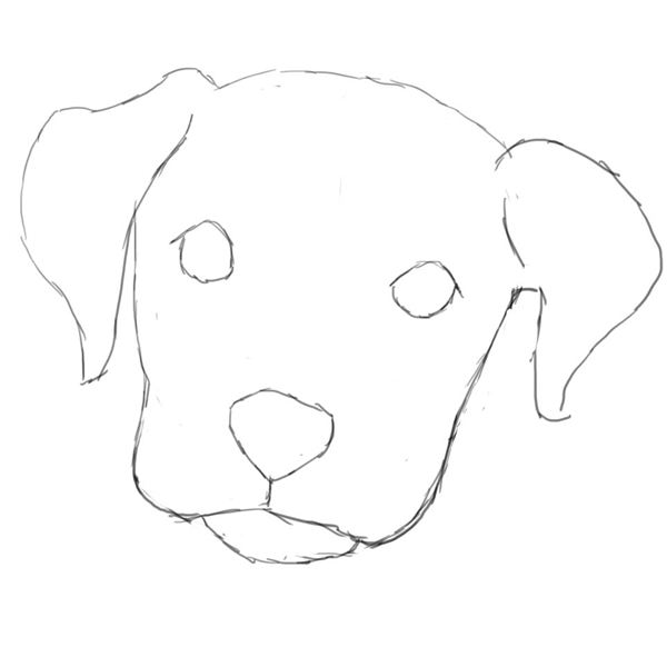 How To Draw A Dog Head Step By Step Easy : Would you like to learn to