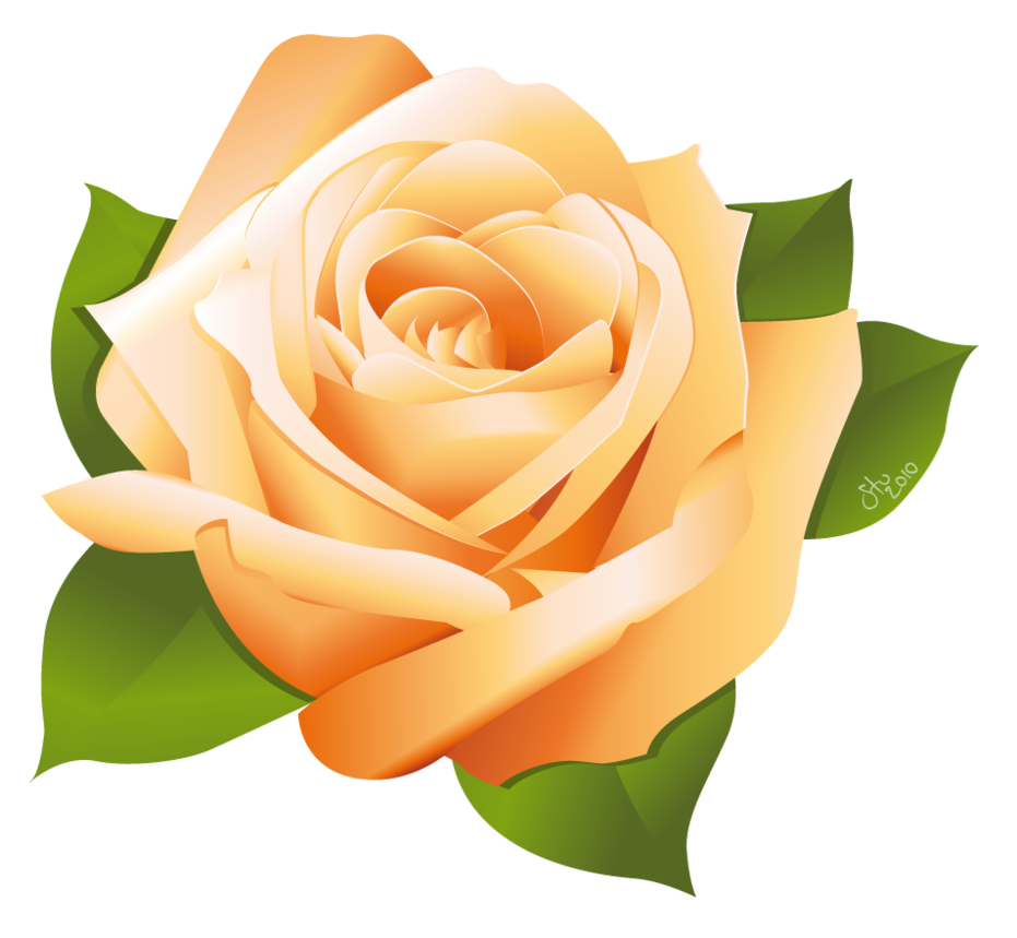 Free Rose Vector Png, Download Free Rose Vector Png png images, Free