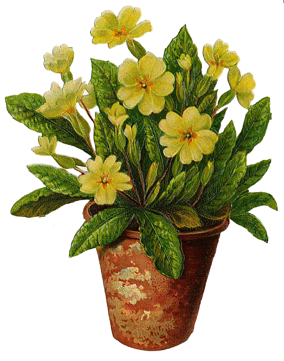 Flower Pot Clipart - Free Clip Art Images