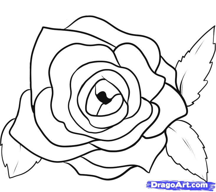 Featured image of post How To Draw A Rose Petal / After learning the basics of drawing a single rose, be sure to add.