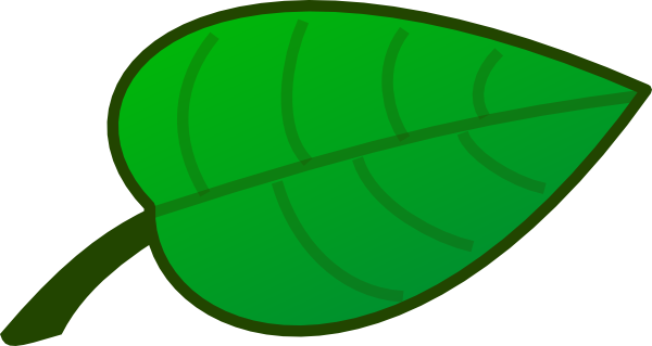 Free Leaf Cartoon, Download Free Leaf Cartoon png images, Free ClipArts