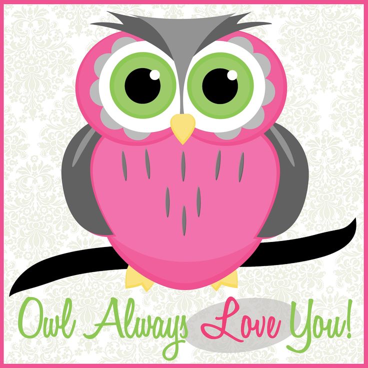 Pin by ???m???? s? on Owl!! | Clipart library
