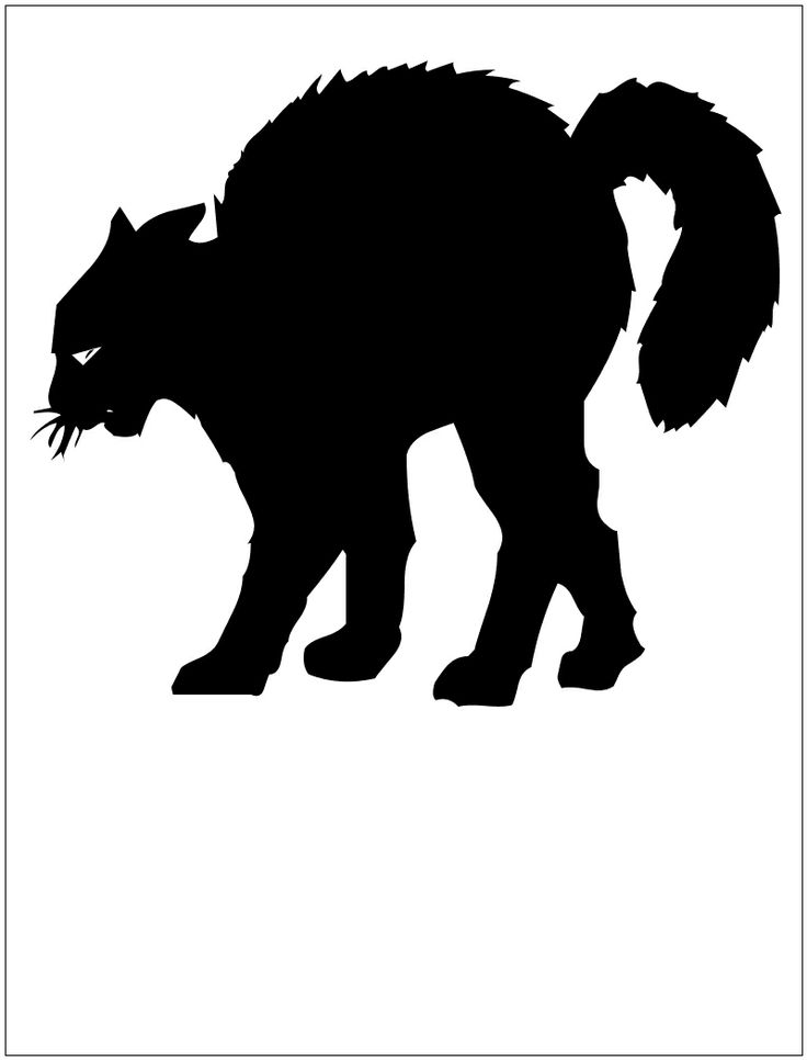 cat silhouette | Halloween | Clipart library