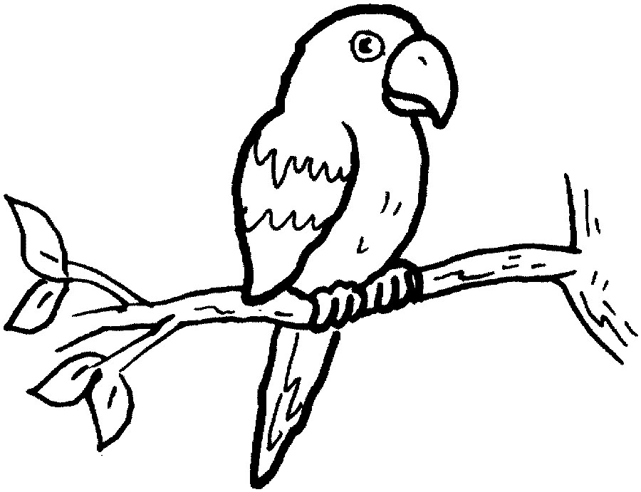 Parrot Clipart Black And White