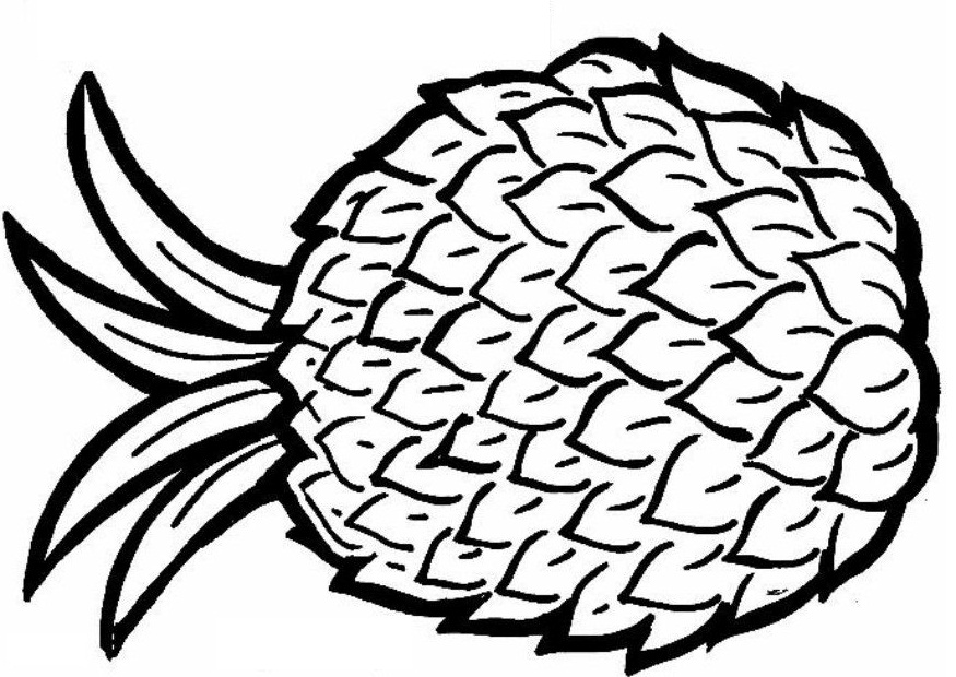 Pineapple Coloring Pages | Coloring