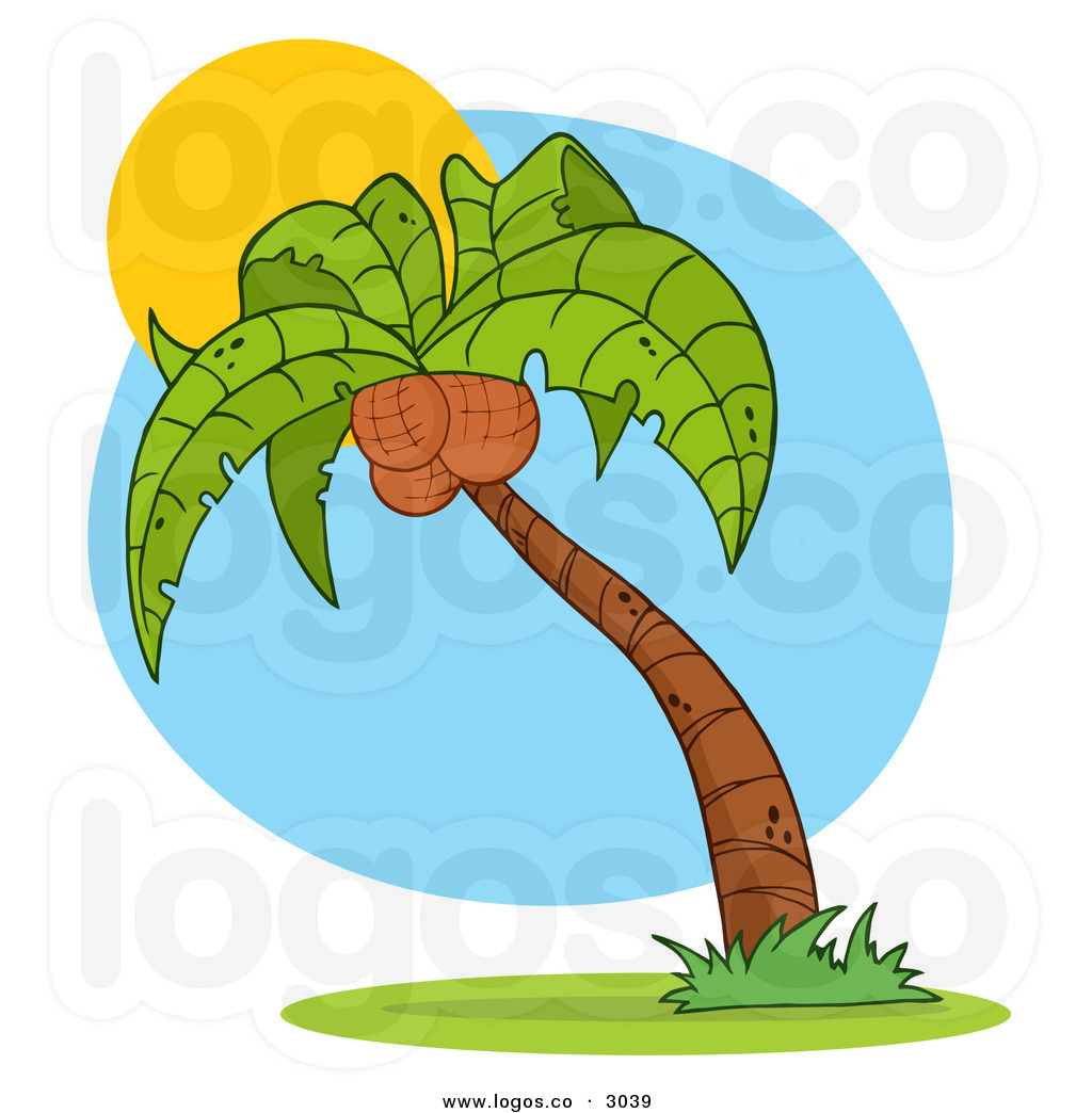 Cartoon Palm Tree Clip Art Royalty Free Vector Of A Coconut Palm 