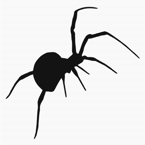 Spider Clip Art With Transparent Background | Clipart library - Free 
