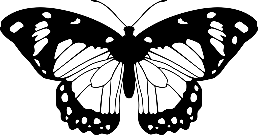 transparent background black and white butterfly png - Clip Art Library