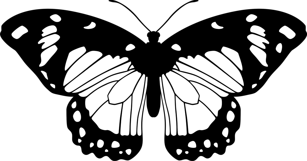 black and white flying butterfly clipart