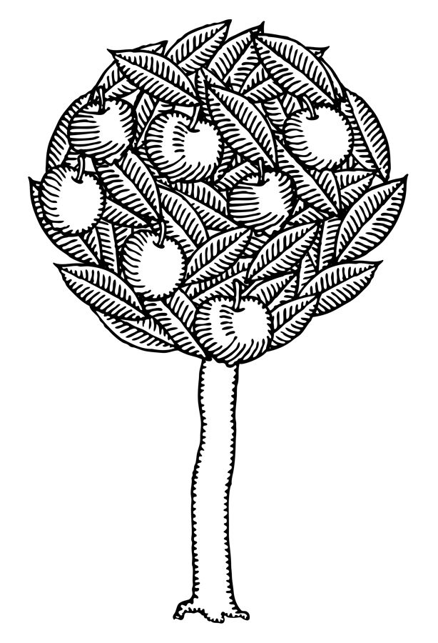 Black And White Apple Tree Drawing Images  Pictures - Becuo