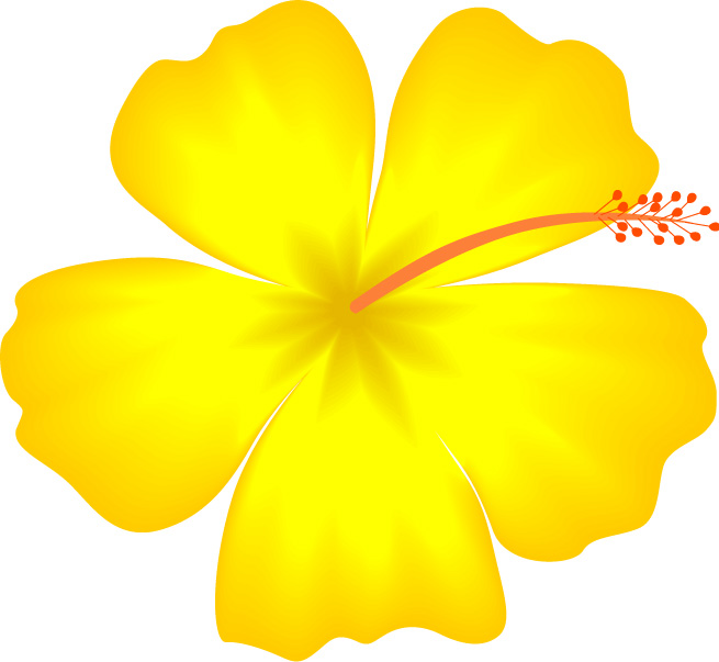 Yellow Hibiscus Hawaii State Flower image - vector clip art online 
