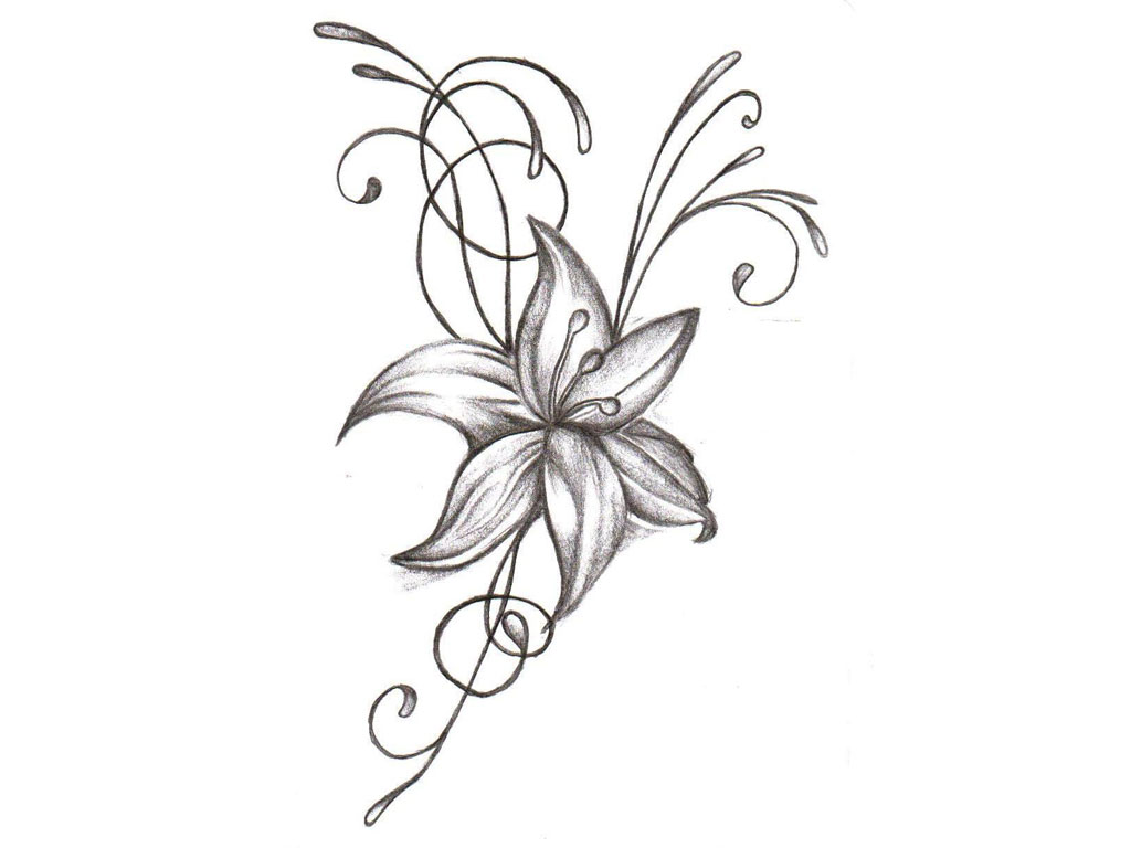 Sketch Of A Flower - Anipapper