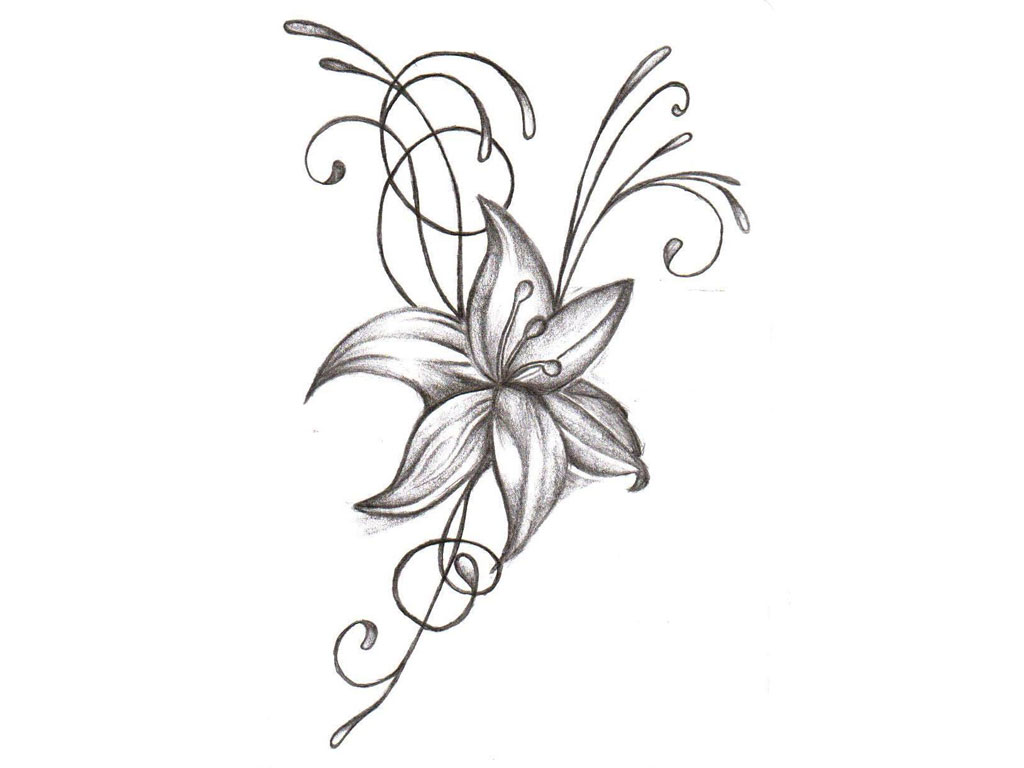 Free Pictures Of Flower Drawings, Download Free Pictures Of Flower