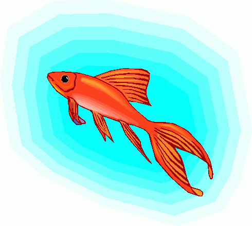 Goldfish Free Clipart - Clipart library