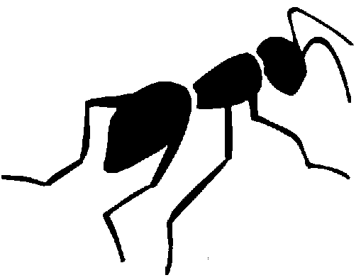 Insect Clipart Black And White | Clipart library - Free Clipart Images